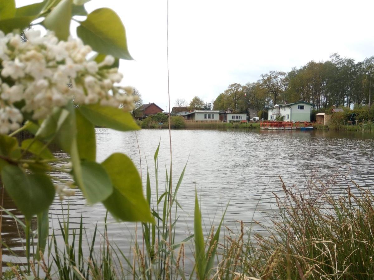 Agroturystyka Nad Morzem Zieleniewo  外观 照片